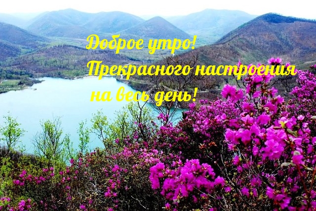 https://upforme.ru/uploads/0012/6e/7d/1850/158967.jpg