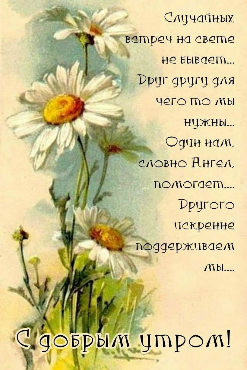https://upforme.ru/uploads/0012/6e/7d/1850/162311.jpg