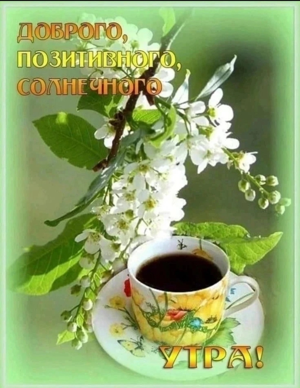 https://upforme.ru/uploads/0012/6e/7d/1850/205432.jpg