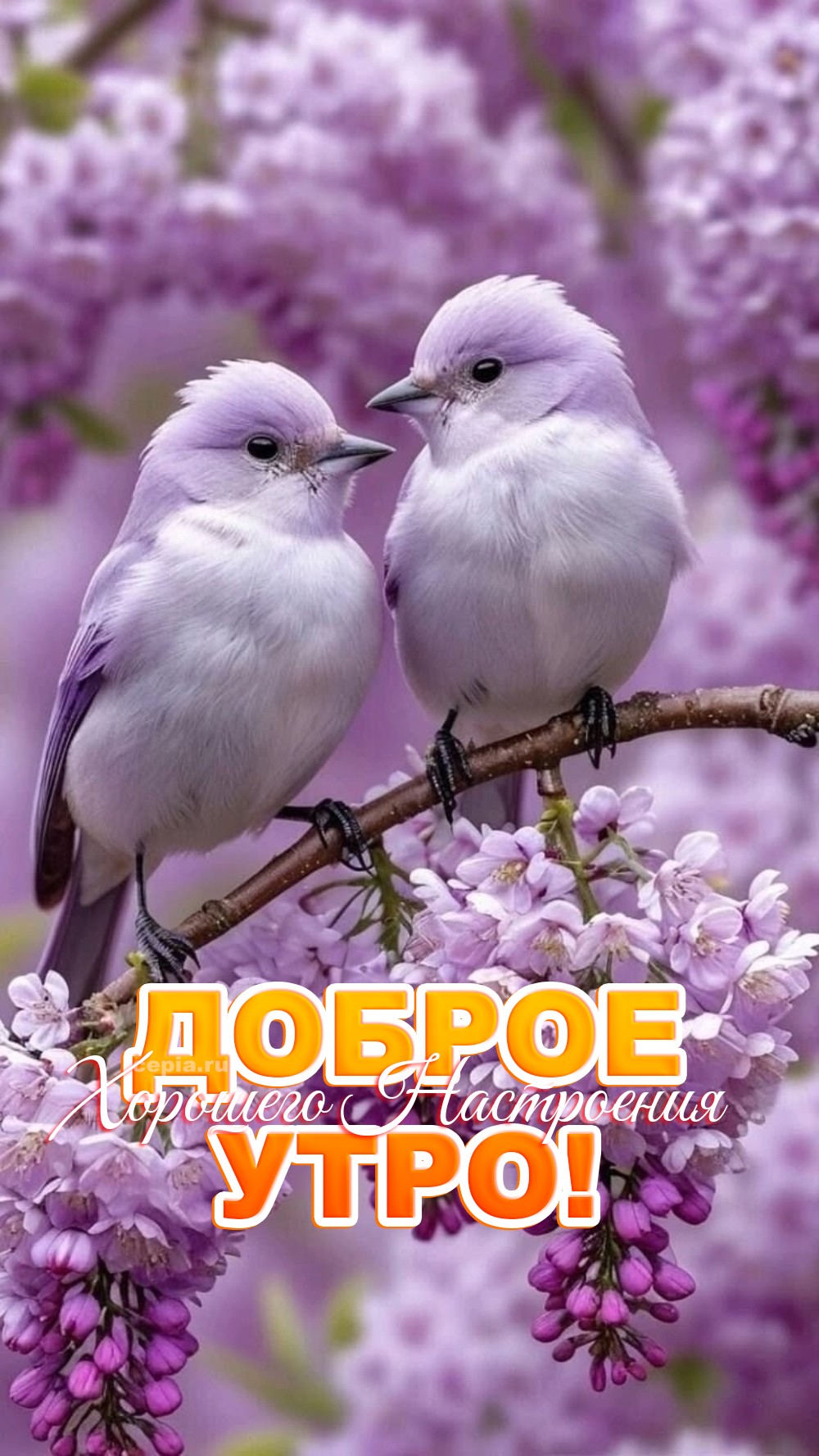 https://upforme.ru/uploads/0012/6e/7d/1850/211352.jpg