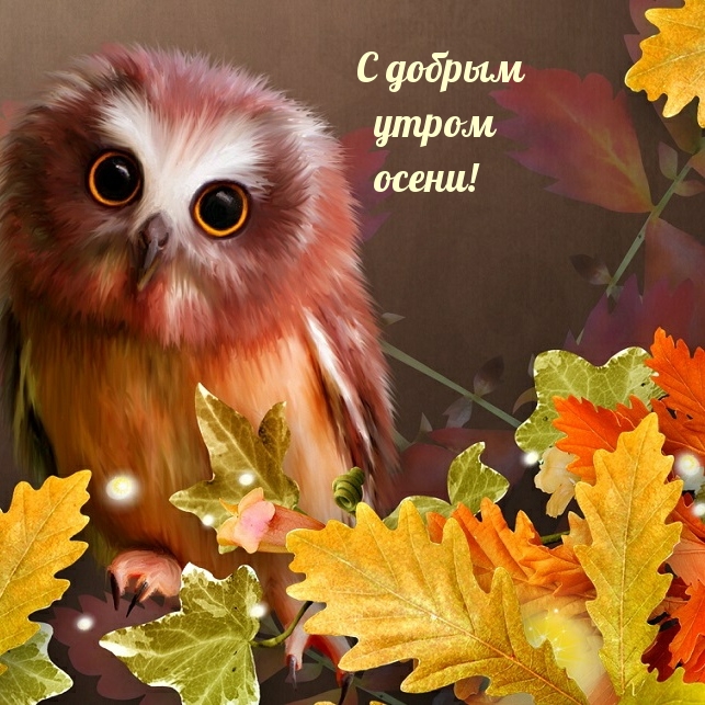 https://upforme.ru/uploads/0012/6e/7d/1850/212626.jpg