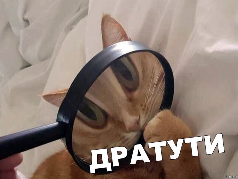 https://upforme.ru/uploads/0012/6e/7d/1850/215383.jpg