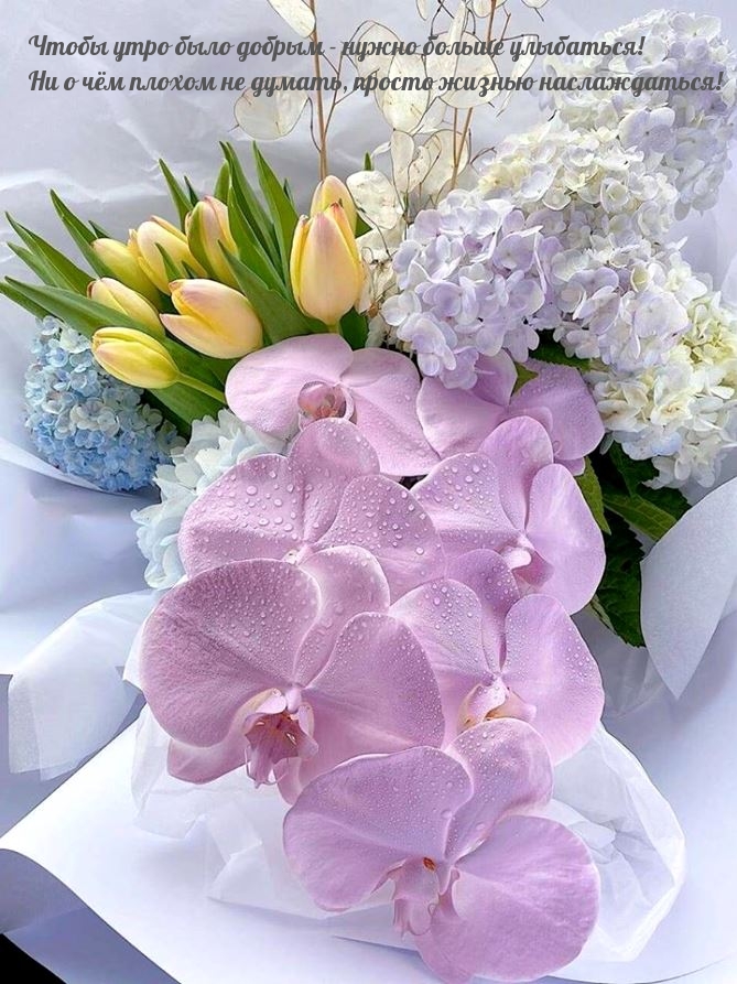 https://upforme.ru/uploads/0012/6e/7d/1850/235682.jpg