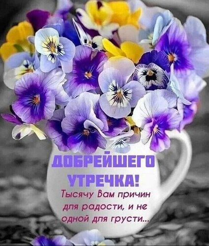 https://upforme.ru/uploads/0012/6e/7d/1850/27116.jpg
