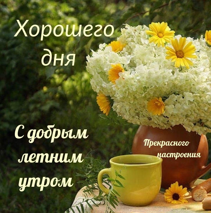 https://upforme.ru/uploads/0012/6e/7d/1850/277132.jpg