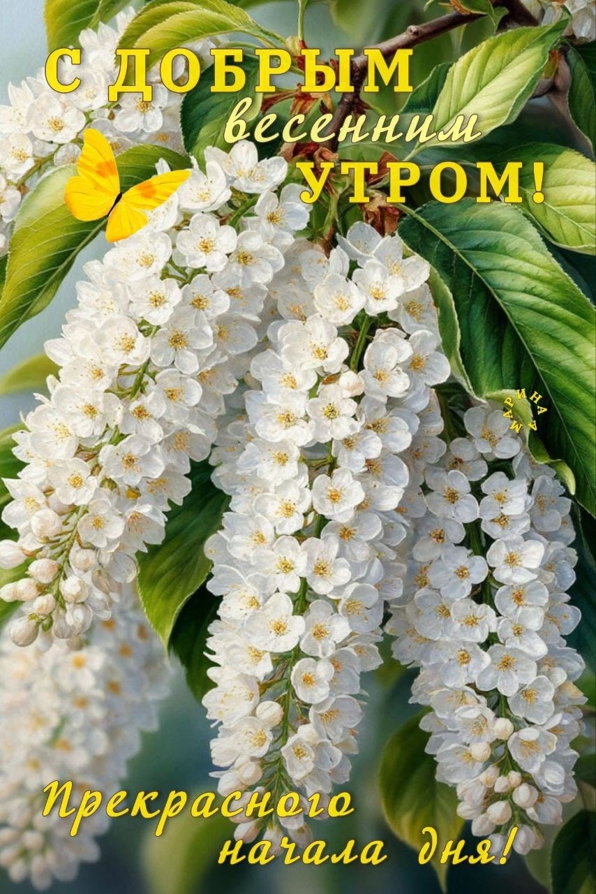 https://upforme.ru/uploads/0012/6e/7d/1850/305017.jpg