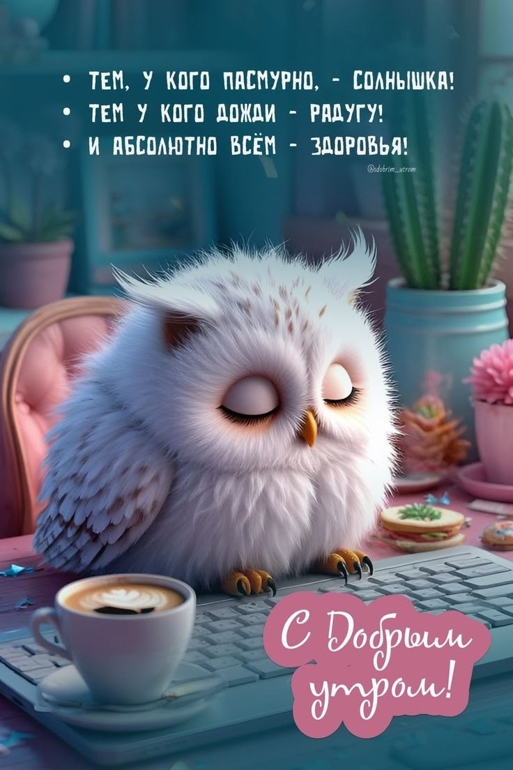 https://upforme.ru/uploads/0012/6e/7d/1850/305767.jpg