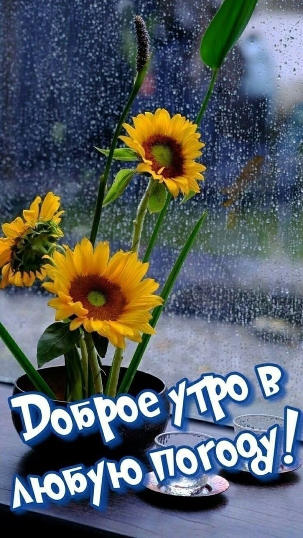 https://upforme.ru/uploads/0012/6e/7d/1850/32841.jpg