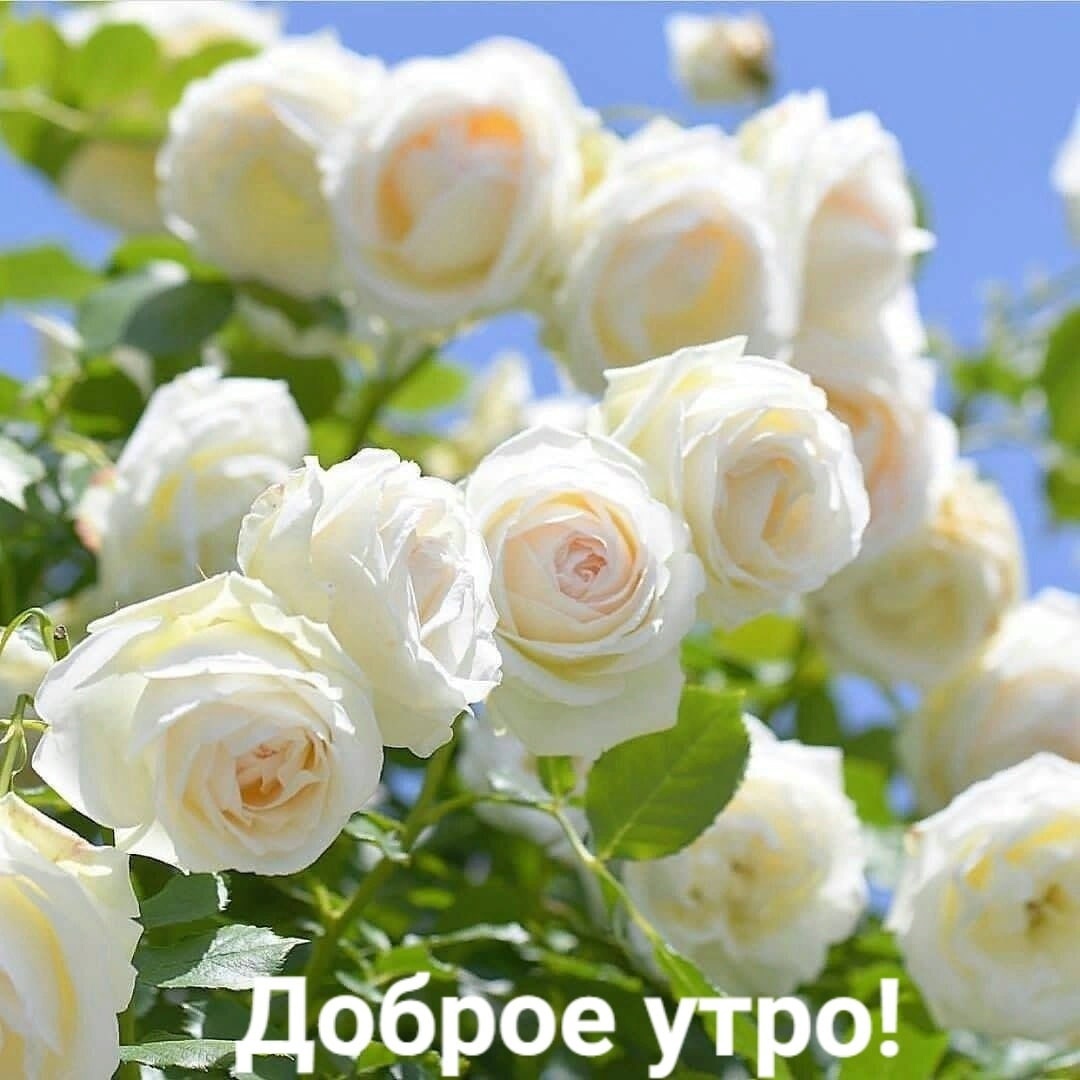 https://upforme.ru/uploads/0012/6e/7d/1850/329000.jpg