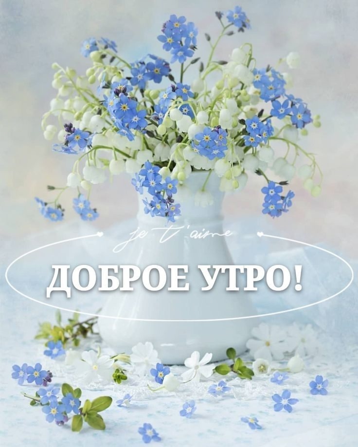 https://upforme.ru/uploads/0012/6e/7d/1850/345393.jpg