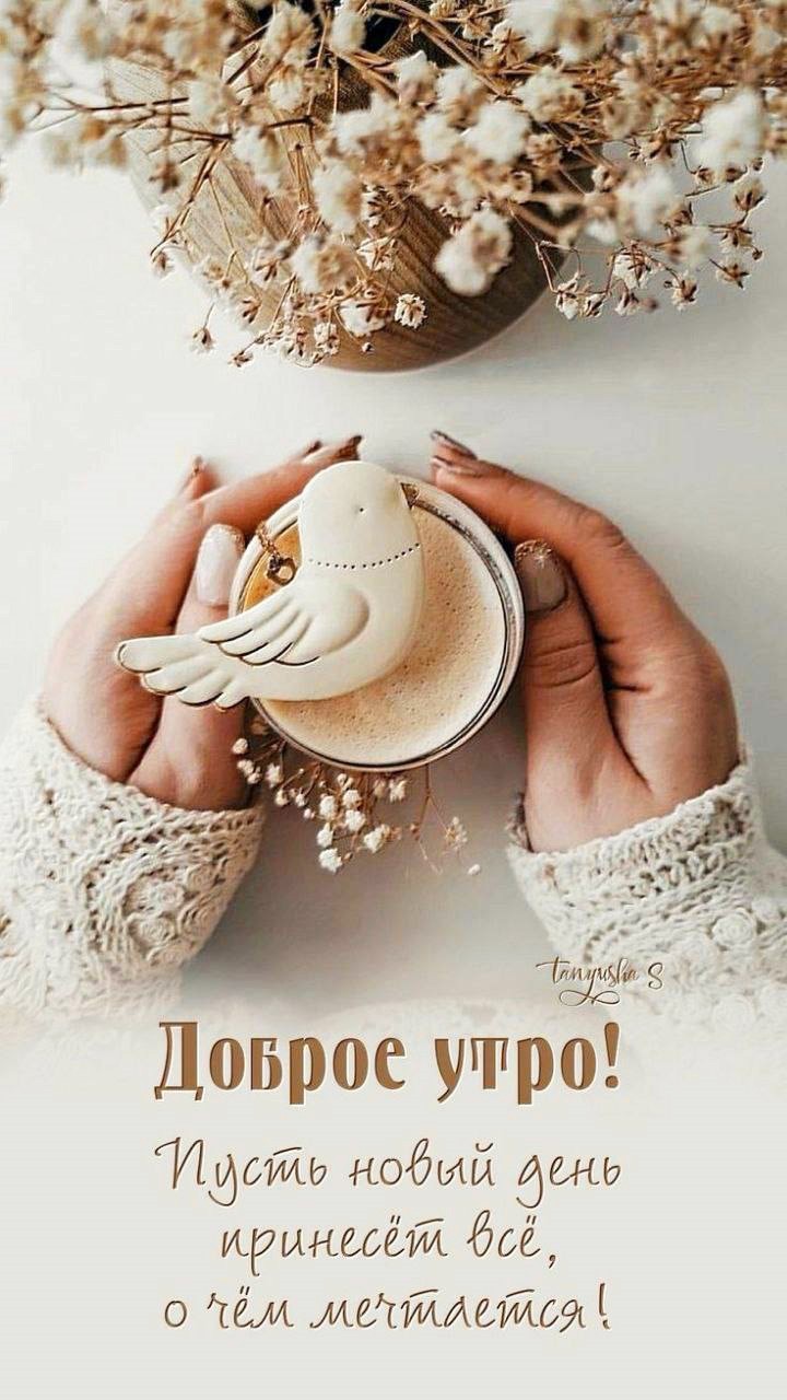 https://upforme.ru/uploads/0012/6e/7d/1850/346454.jpg