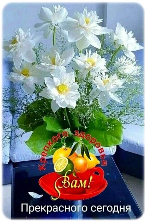 https://upforme.ru/uploads/0012/6e/7d/1850/35129.jpg