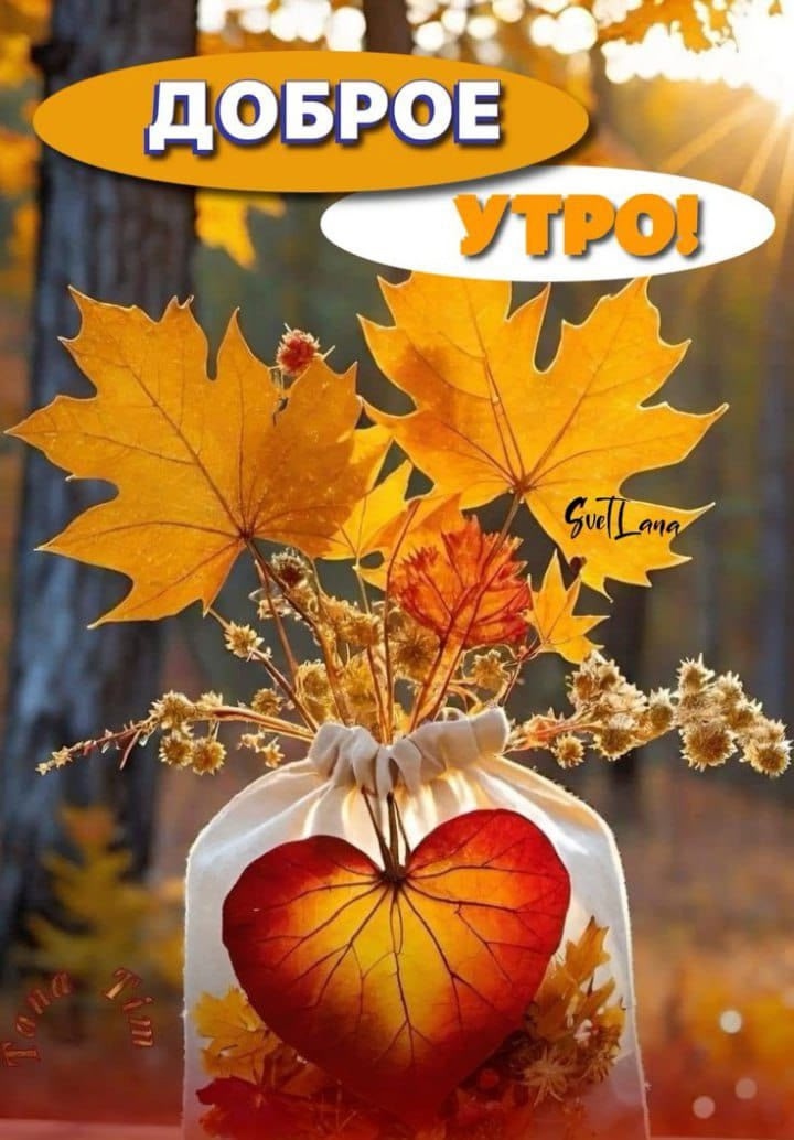 https://upforme.ru/uploads/0012/6e/7d/1850/35405.jpg