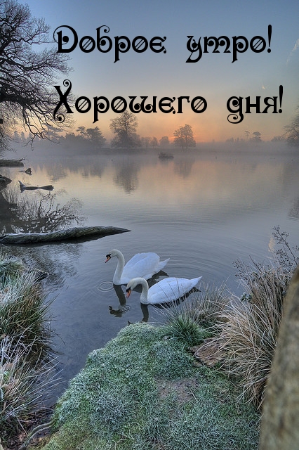 https://upforme.ru/uploads/0012/6e/7d/1850/381485.jpg