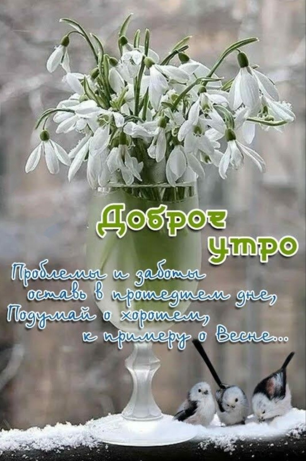 https://upforme.ru/uploads/0012/6e/7d/1850/406142.jpg