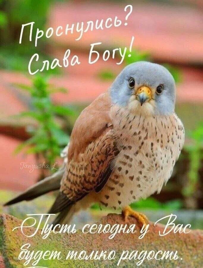 https://upforme.ru/uploads/0012/6e/7d/1850/437921.jpg