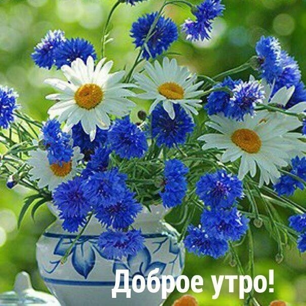 https://upforme.ru/uploads/0012/6e/7d/1850/440801.jpg