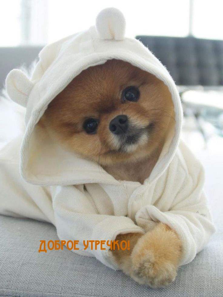 https://upforme.ru/uploads/0012/6e/7d/1850/444876.jpg