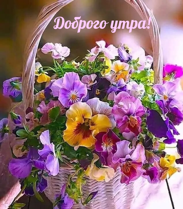 https://upforme.ru/uploads/0012/6e/7d/1850/444981.jpg