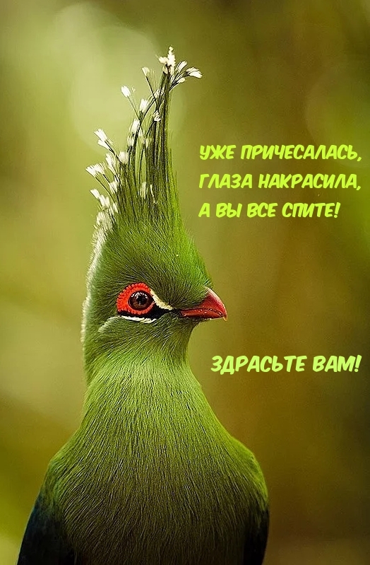 https://upforme.ru/uploads/0012/6e/7d/1850/457903.jpg