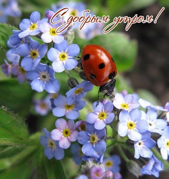 https://upforme.ru/uploads/0012/6e/7d/1850/476066.jpg