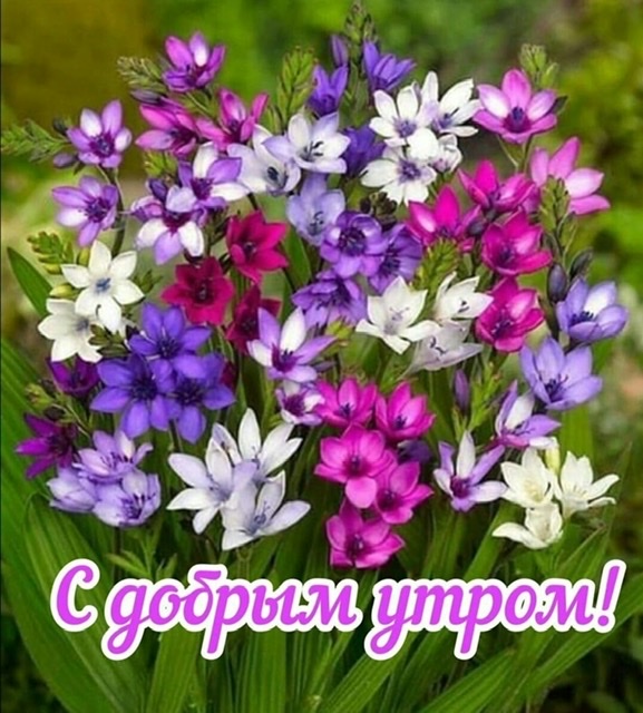 https://upforme.ru/uploads/0012/6e/7d/1850/488508.jpg