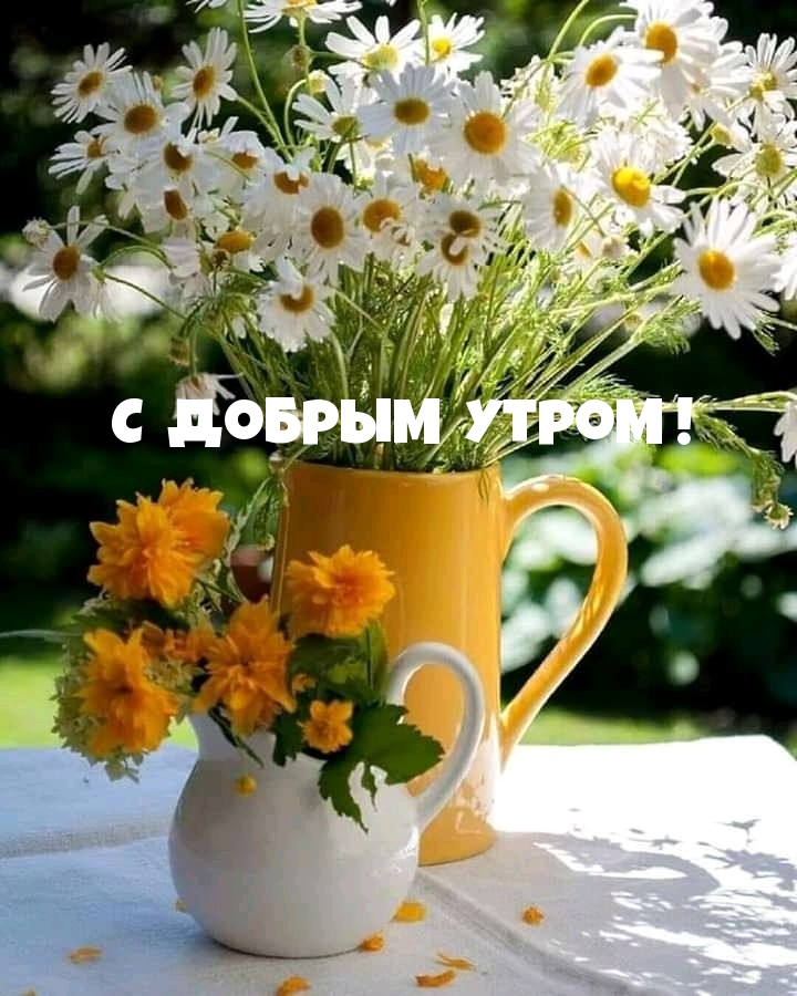 https://upforme.ru/uploads/0012/6e/7d/1850/523793.jpg