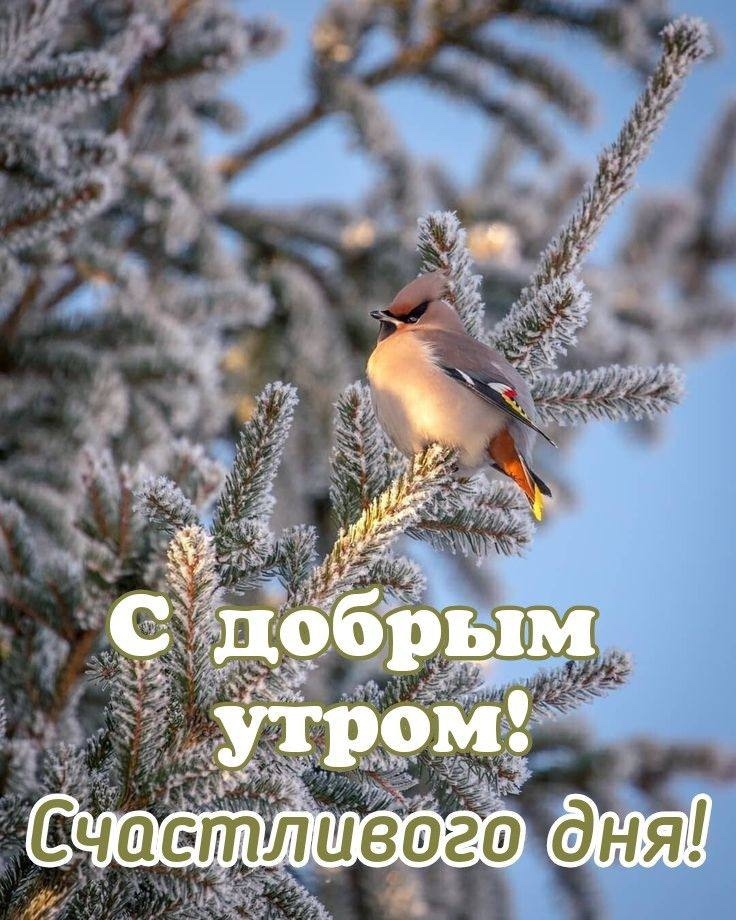 https://upforme.ru/uploads/0012/6e/7d/1850/524126.jpg