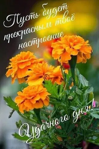 https://upforme.ru/uploads/0012/6e/7d/1850/525786.webp
