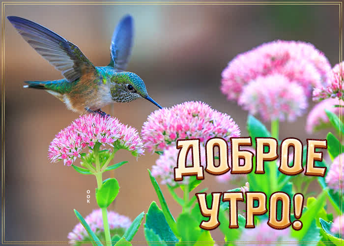 https://upforme.ru/uploads/0012/6e/7d/1850/52806.jpg