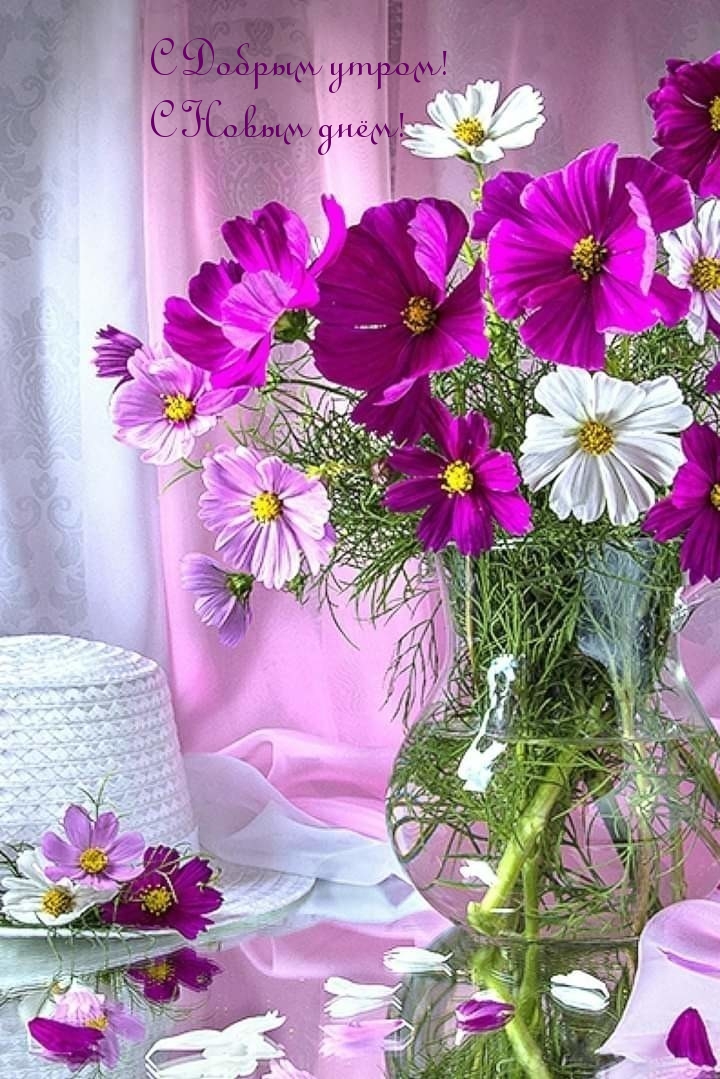 https://upforme.ru/uploads/0012/6e/7d/1850/54603.jpg