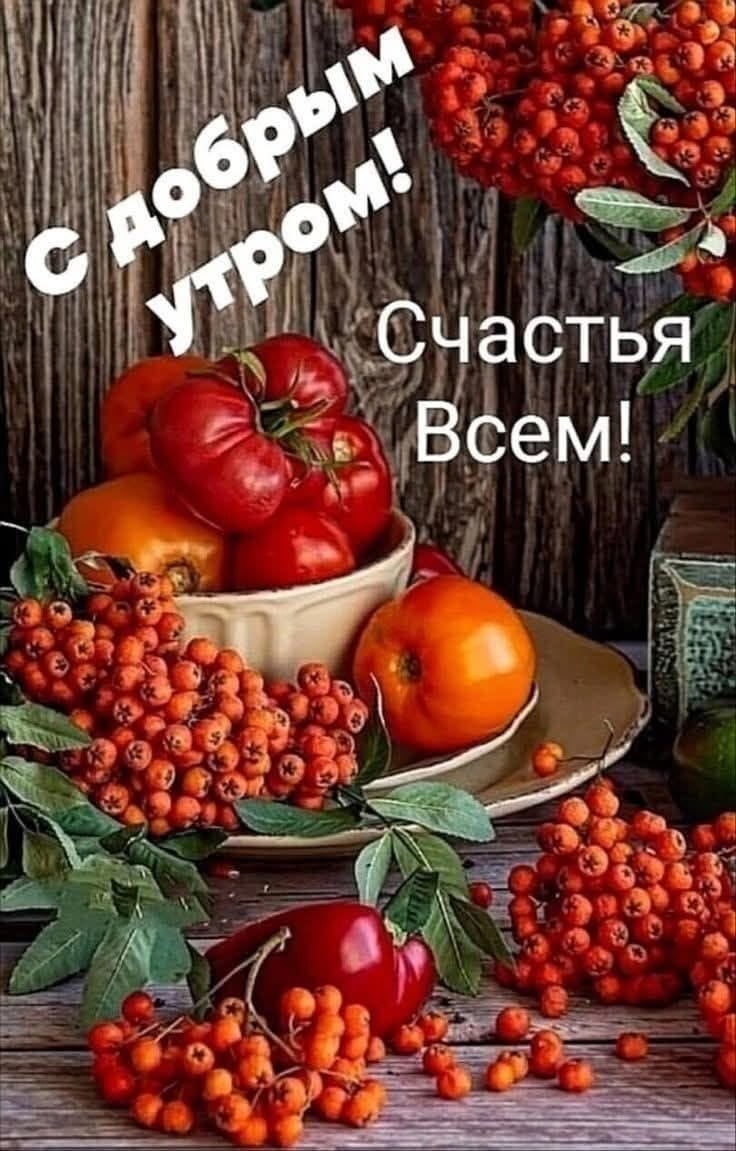 https://upforme.ru/uploads/0012/6e/7d/1850/546629.jpg