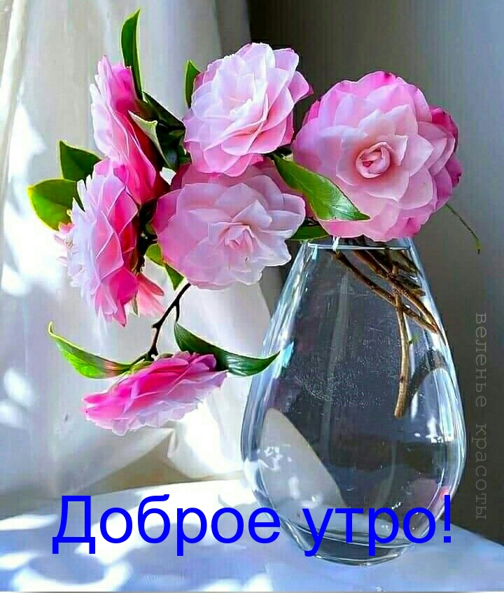 https://upforme.ru/uploads/0012/6e/7d/1850/547156.jpg