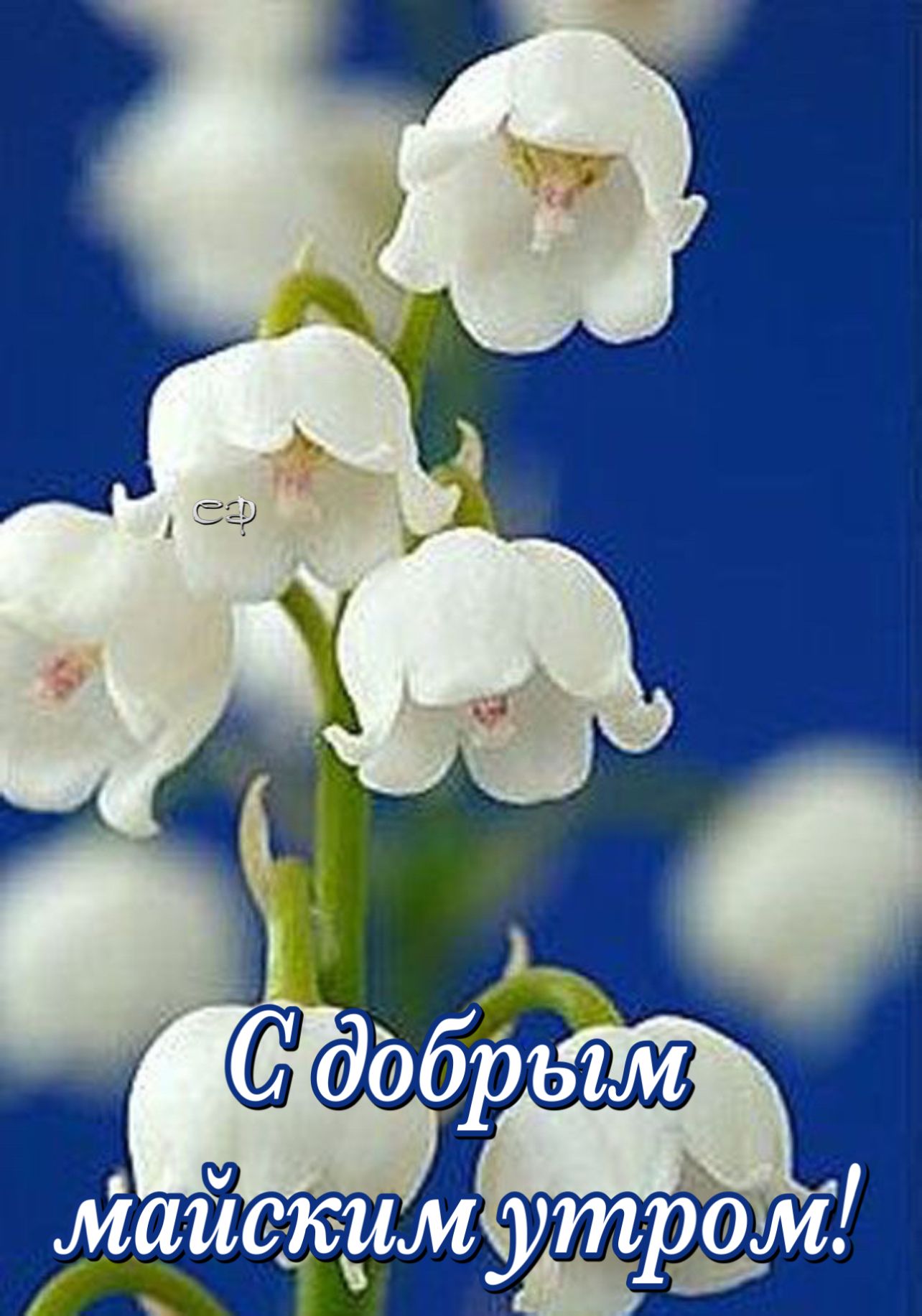 https://upforme.ru/uploads/0012/6e/7d/1850/551726.jpg