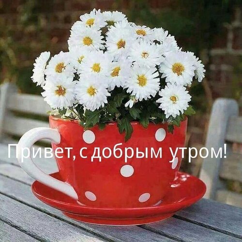 https://upforme.ru/uploads/0012/6e/7d/1850/575337.jpg