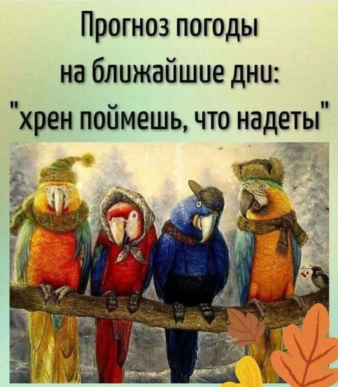 https://upforme.ru/uploads/0012/6e/7d/1850/608778.jpg