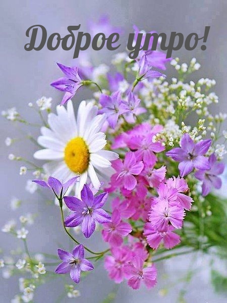 https://upforme.ru/uploads/0012/6e/7d/1850/613395.jpg