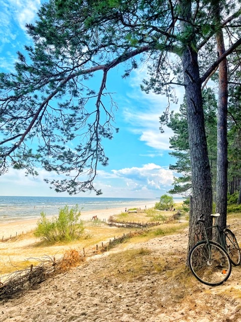 https://upforme.ru/uploads/0012/6e/7d/1850/617348.jpg