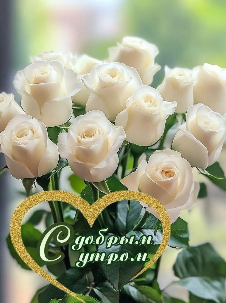 https://upforme.ru/uploads/0012/6e/7d/1850/677830.jpg