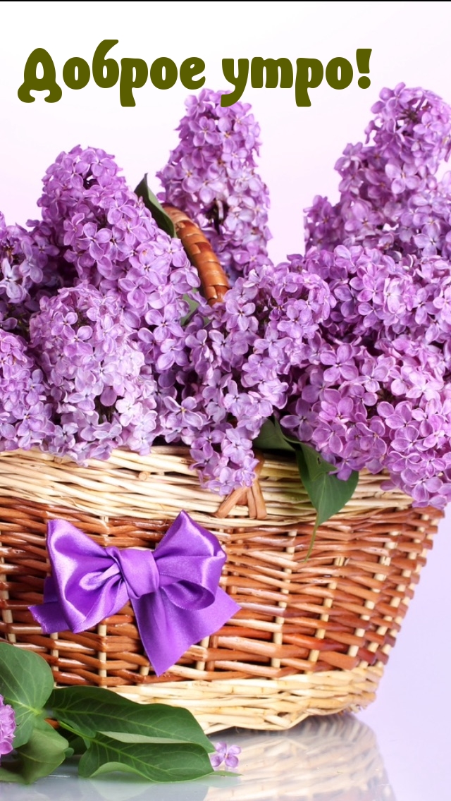 https://upforme.ru/uploads/0012/6e/7d/1850/679650.jpg