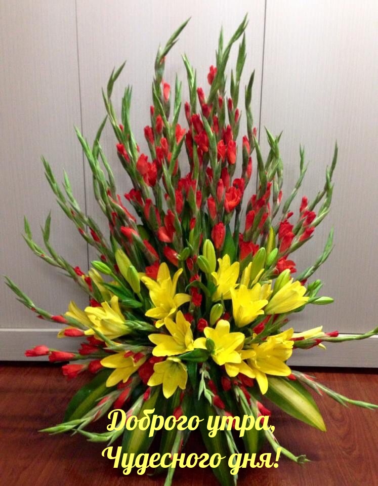 https://upforme.ru/uploads/0012/6e/7d/1850/689047.jpg