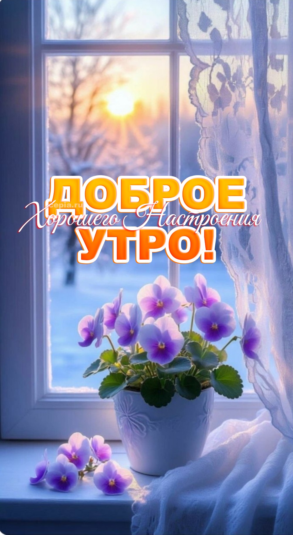 https://upforme.ru/uploads/0012/6e/7d/1850/701495.jpg
