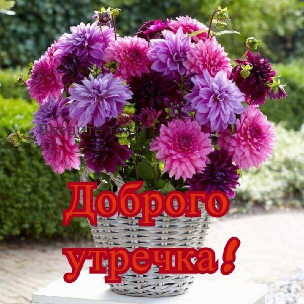 https://upforme.ru/uploads/0012/6e/7d/1850/740431.jpg