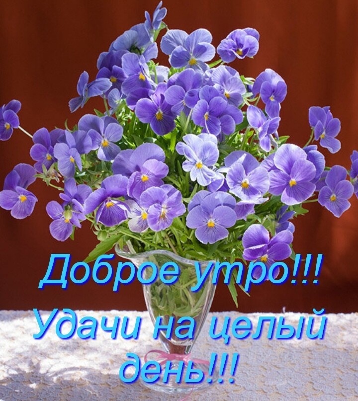 https://upforme.ru/uploads/0012/6e/7d/1850/752516.jpg