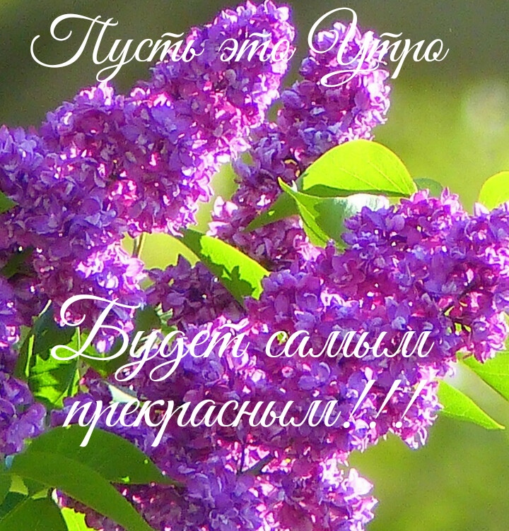 https://upforme.ru/uploads/0012/6e/7d/1850/75311.jpg