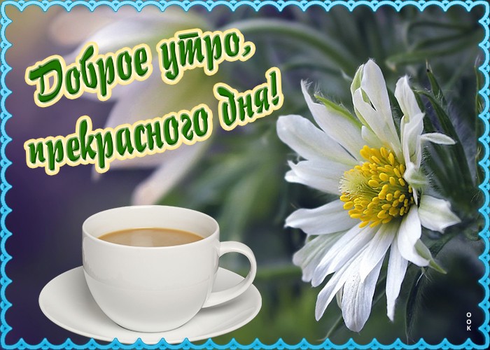 https://upforme.ru/uploads/0012/6e/7d/1850/75554.jpg