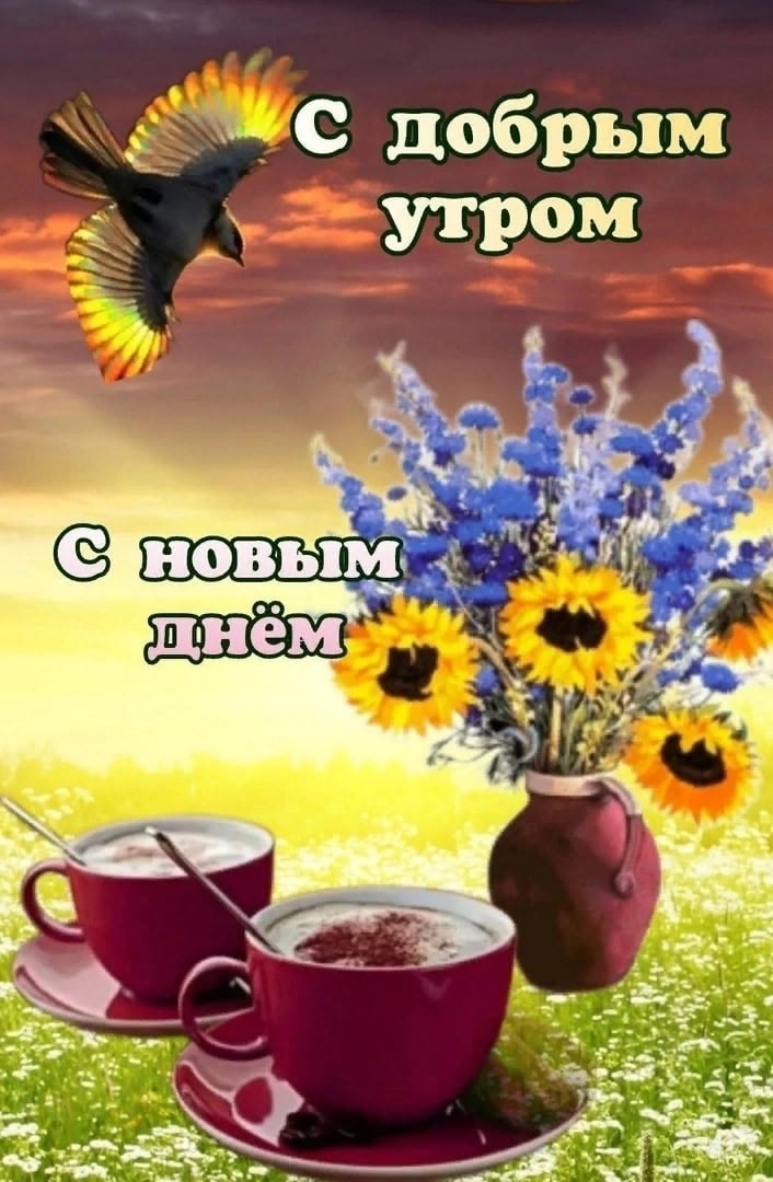 https://upforme.ru/uploads/0012/6e/7d/1850/75856.jpg