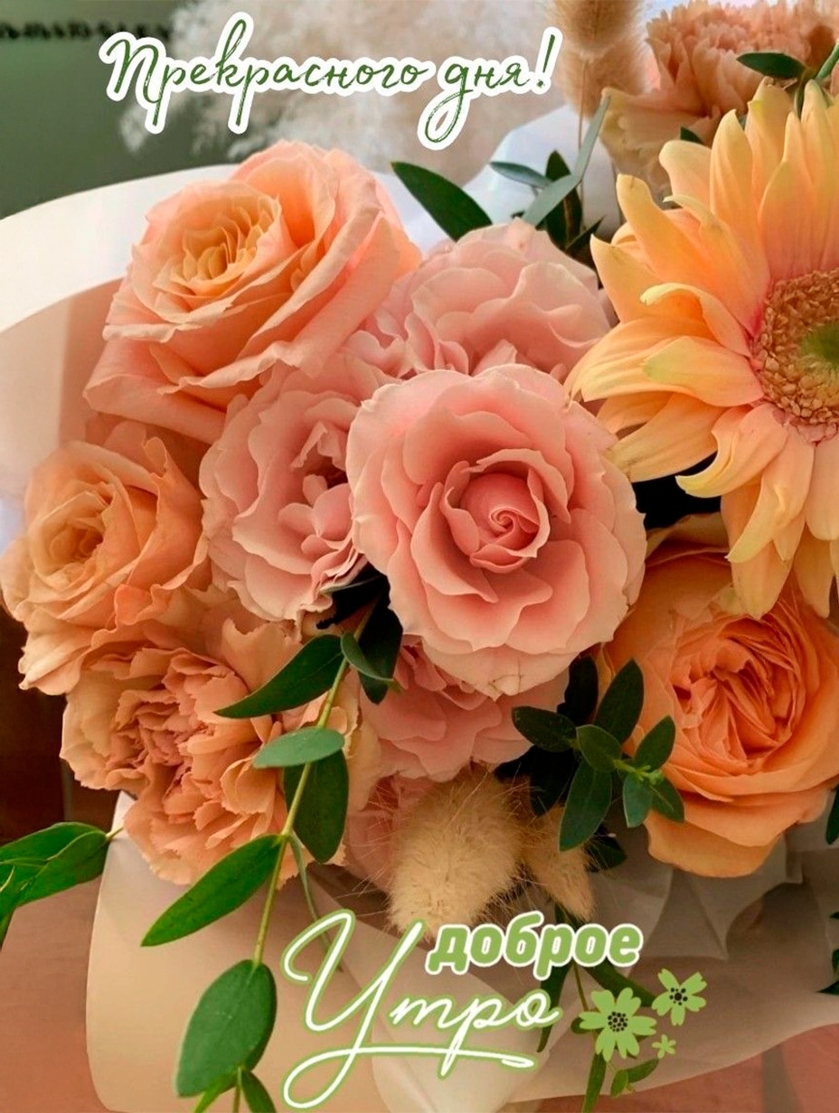 https://upforme.ru/uploads/0012/6e/7d/1850/805335.jpg