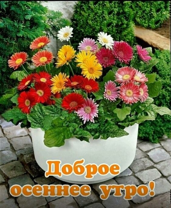 https://upforme.ru/uploads/0012/6e/7d/1850/808746.jpg