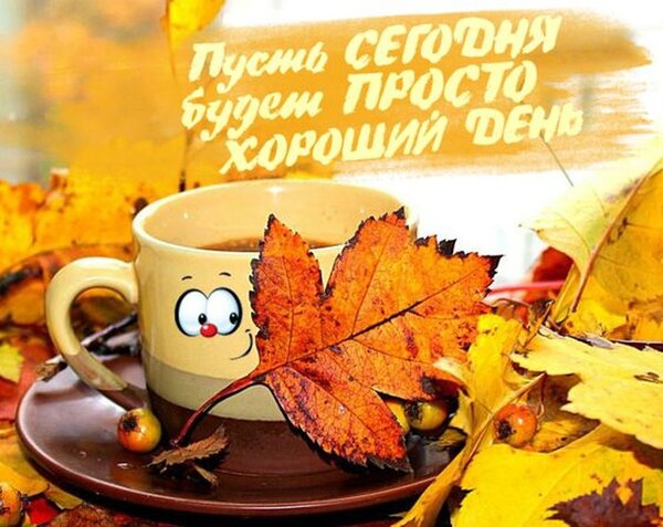 https://upforme.ru/uploads/0012/6e/7d/1850/813093.jpg